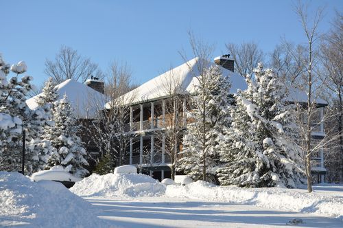 4 Season Fun At Legend Cottage Inn Bellaire Экстерьер фото